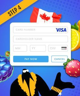 Canadian Online Casinos Accepting Visa Payments