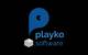 Playko Software
